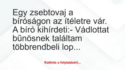 Vicc: Egy zsebtovaj a bíróságon az ítéletre vár. A bíró kihírdeti:

-…