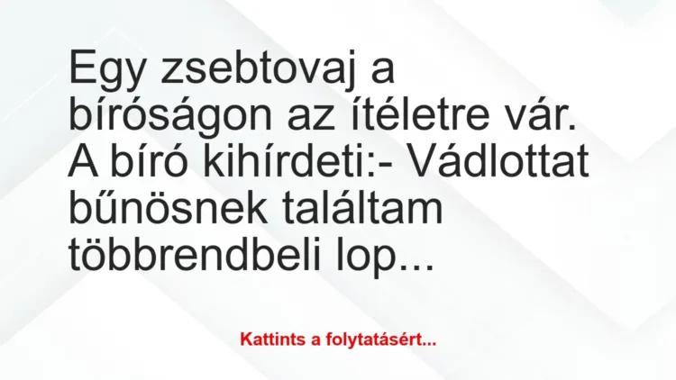 Vicc: Egy zsebtovaj a bíróságon az ítéletre vár. A bíró kihírdeti:
-… Vicc: Egy zsebtovaj a bíróságon az ítéletre vár. A bíró kihírdeti:
-…