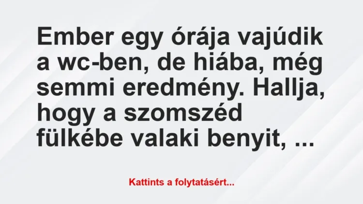 Vicc: Ember egy órája vajúdik a wc-ben, de hiába, még semmi eredmény…. Vicc: Ember egy órája vajúdik a wc-ben, de hiába, még semmi eredmény….