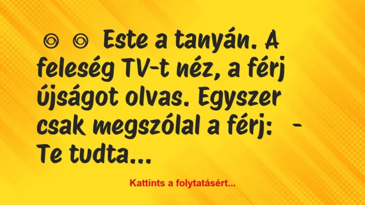 Vicc:
Este a tanyán. A feleség TV-t néz, a férj újságot olvas…. Vicc:
Este a tanyán. A feleség TV-t néz, a férj újságot olvas….