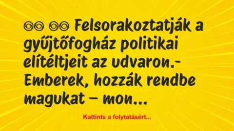 Vicc: 
		  
		  Felsorakoztatják a gyűjtőfogház politikai…