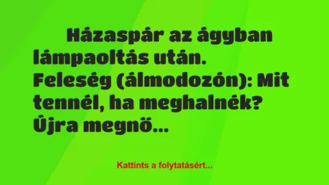 Vicc: 
	    	    Házaspár az ágyban lámpaoltás után.


Feleség…