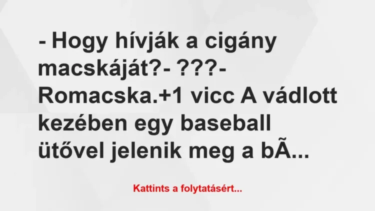 Vicc: – Hogy hívják a cigány macskáját?
– ???
– Romacska. Vicc: – Hogy hívják a cigány macskáját?
– ???
– Romacska.