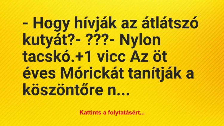 Vicc: – Hogy hívják az átlátszó kutyát?
– ???
– Nylon tacskó. Vicc: – Hogy hívják az átlátszó kutyát?
– ???
– Nylon tacskó.