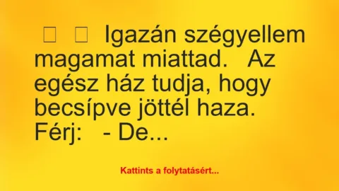 Vicc: 
	    	    Igazán szégyellem magamat miattad.


Az egész ház…