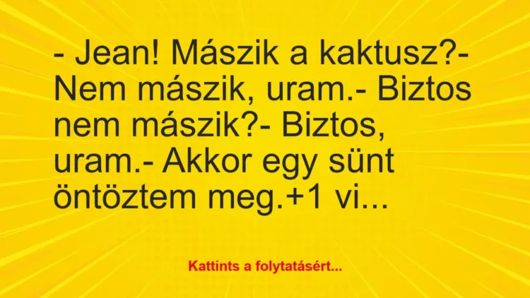 Vicc: – Jean! Mászik a kaktusz?
– Nem mászik, uram.
– Biztos nem… Vicc: – Jean! Mászik a kaktusz?
– Nem mászik, uram.
– Biztos nem…