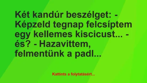 Vicc: Két kandúr beszélget: 

– Képzeld tegnap felcsíptem egy kellemes…