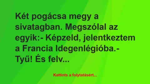 Vicc: Két pogácsa megy a sivatagban. Megszólal az egyik:

– Képzeld,…