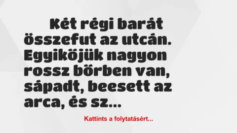 Vicc: 
	    	    Két régi barát összefut az utcán. Egyikőjük nagyon rossz…