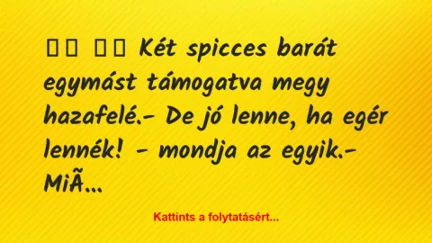 Vicc: 
		  
		  Két spicces barát egymást támogatva megy…
