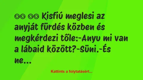 Vicc: 
		  
		  Kisfiú meglesi az anyját fürdés közben és…