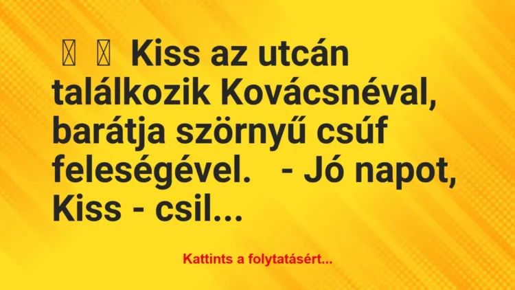 Vicc:
Kiss az utcán találkozik Kovácsnéval, barátja szörnyű csúf … Vicc:
Kiss az utcán találkozik Kovácsnéval, barátja szörnyű csúf …