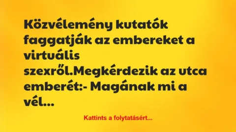 Vicc: Közvélemény kutatók faggatják az embereket a virtuális…