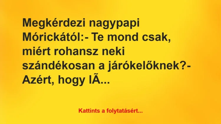 Vicc: Megkérdezi nagypapi Mórickától:
– Te mond csak, miért rohansz… Vicc: Megkérdezi nagypapi Mórickától:
– Te mond csak, miért rohansz…