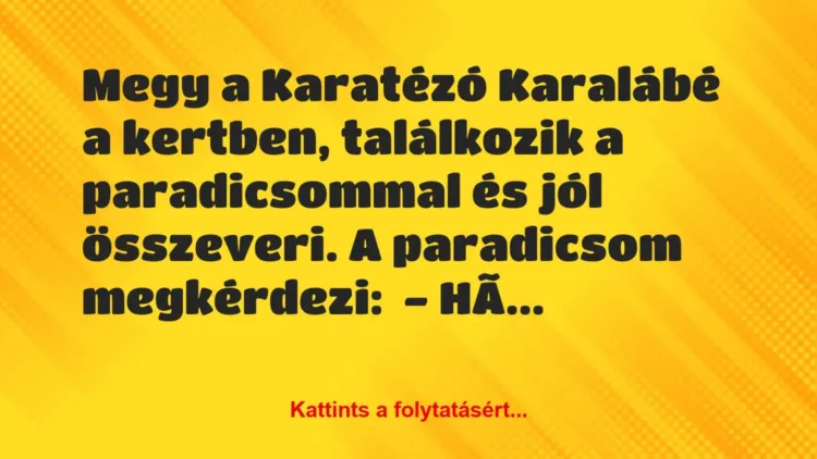 Vicc: Megy a Karatézó Karalábé a kertben, találkozik a paradicsommal és jól… Vicc: Megy a Karatézó Karalábé a kertben, találkozik a paradicsommal és jól…