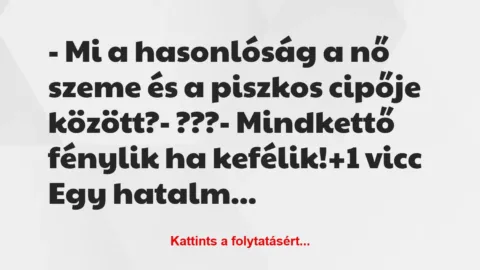 Vicc: – Mi a hasonlóság a nő szeme és a piszkos cipője között?

-…