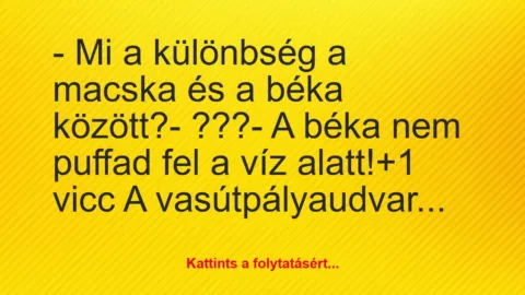 Vicc: – Mi a különbség a macska és a béka között?

– ???

– A béka…