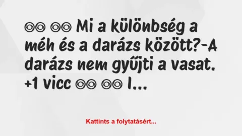Vicc: 
		  
		  Mi a különbség a méh és a darázs között?-A…