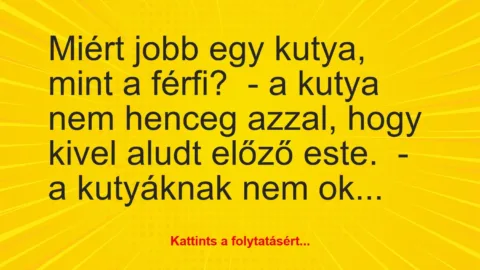 Vicc: Miért jobb egy kutya, mint a férfi?

– a kutya nem henceg azzal,…