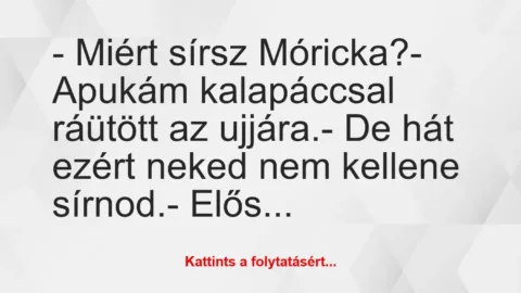 Vicc: – Miért sírsz Móricka?

– Apukám kalapáccsal ráütött az…