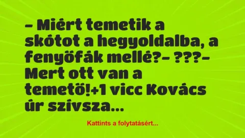 Vicc: – Miért temetik a skótot a hegyoldalba, a fenyőfák mellé?

-…