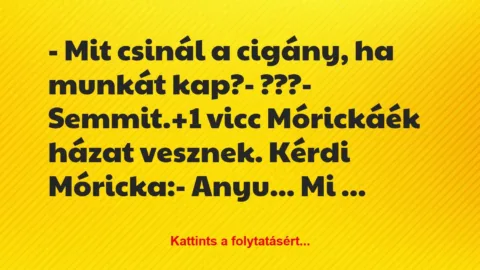 Vicc: – Mit csinál a cigány, ha munkát kap?

– ???

– Semmit.