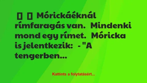 Vicc: 
	    	    Mórickáéknál rímfaragás van.


Mindenki mond egy…