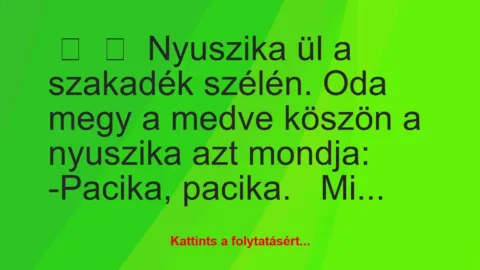 Vicc: 
	    	    Nyuszika ül a szakadék szélén. Oda megy a medve köszön a…
