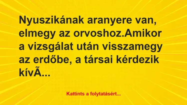 Vicc: Nyuszikának aranyere van, elmegy az orvoshoz.
Amikor a vizsgálat… Vicc: Nyuszikának aranyere van, elmegy az orvoshoz.
Amikor a vizsgálat…