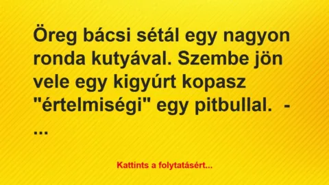 Vicc: Öreg bácsi sétál egy nagyon ronda kutyával. Szembe jön vele egy…