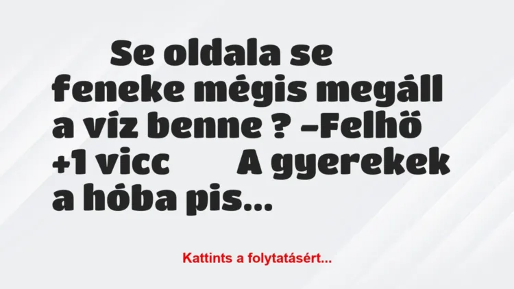 Vicc: Se oldala se feneke mégis megáll a víz benne ?…