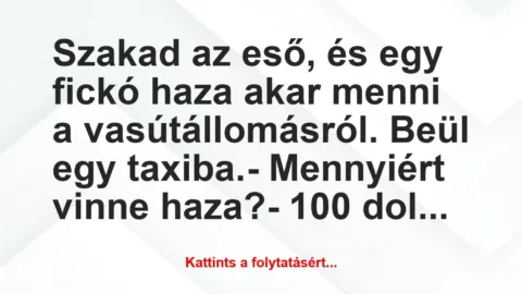 Vicc: Szakad az eső, és egy fickó haza akar menni a vasútállomásról. Beül…