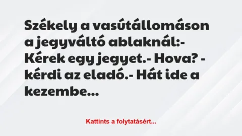 Vicc: Székely a vasútállomáson a jegyváltó ablaknál:

– Kérek egy…