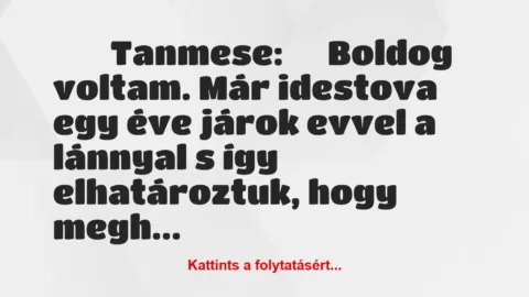 Vicc: 
	    	    Tanmese:





Boldog voltam. Már idestova egy éve…