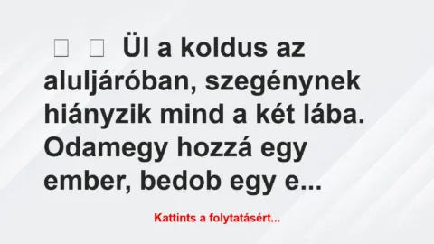 Vicc: 
	    	    Ül a koldus az aluljáróban, szegénynek hiányzik mind a két …