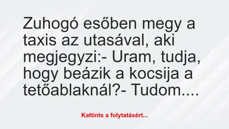Vicc: Zuhogó esőben megy a taxis az utasával, aki megjegyzi:
– Uram,… Vicc: Zuhogó esőben megy a taxis az utasával, aki megjegyzi:
– Uram,…