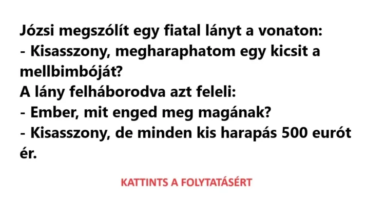 Vicc: A férfi meggyőz egy idegen lányt a vonaton, hogy Vicc: A férfi meggyőz egy idegen lányt a vonaton, hogy menjen vele a…