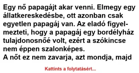 Vicc: Az eladó figyelmezteti, hogy a papagáj egy bordélyház tulajdonosnőé…