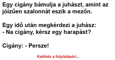 Vicc: Egy cigány bámulja a juhászt, amint az jóízűen szalonnát eszik a mezőn