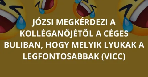 Vicc: Józsi megkérdezi a kolléganőjétől a céges buliban, hogy melyik…
