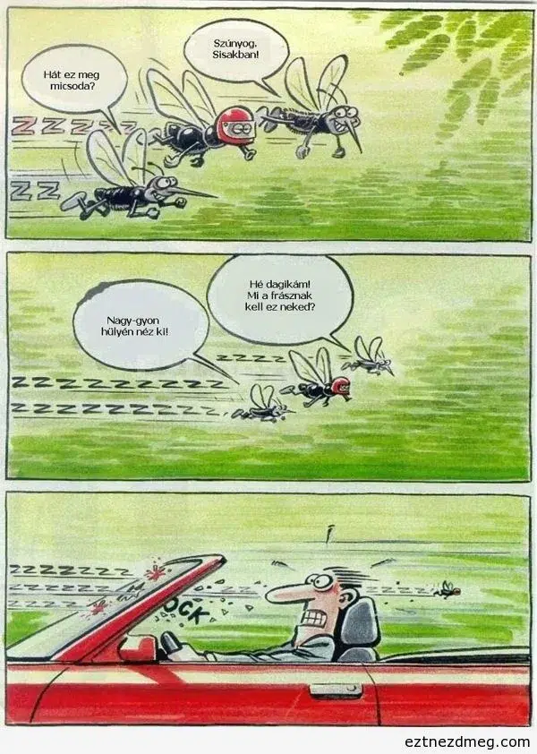 Vicc: Szúnyog sisakban
