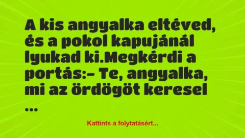 Vicc: A kis angyalka eltéved, és a pokol kapujánál lyukad ki.

Megkérdi…