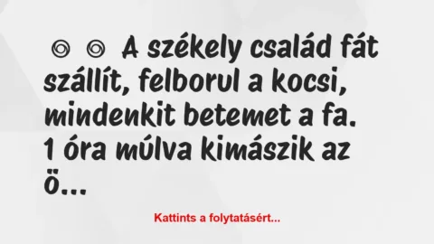 Vicc: 
	    	    A székely család fát szállít, felborul a kocsi, mindenkit…