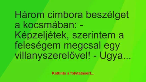 Vicc: Három cimbora beszélget a kocsmában:
– Képzeljétek, szerintem a…
