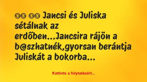 Vicc: 
		  
		  Jancsi és Juliska sétálnak az…