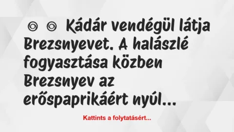 Vicc: 
	    	    Kádár vendégül látja Brezsnyevet. A halászlé fogyasztása…