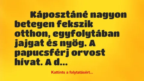 Vicc: 
	    	    Káposztáné nagyon betegen fekszik otthon, egyfolytában…