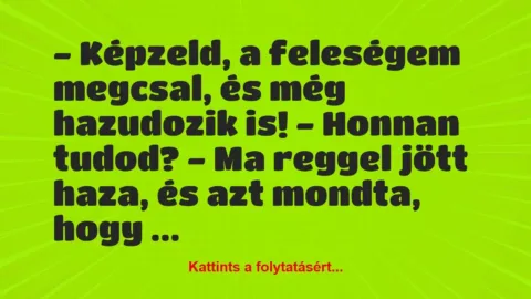 Vicc: – Képzeld, a feleségem megcsal, és még hazudozik is!
– Honnan…