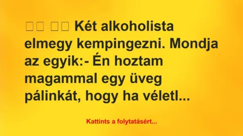 Vicc: 
		  
		  Két alkoholista elmegy kempingezni. Mondja az egy…