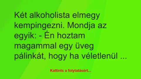 Vicc: Két alkoholista elmegy kempingezni. Mondja az egyik:
– Én hoztam…